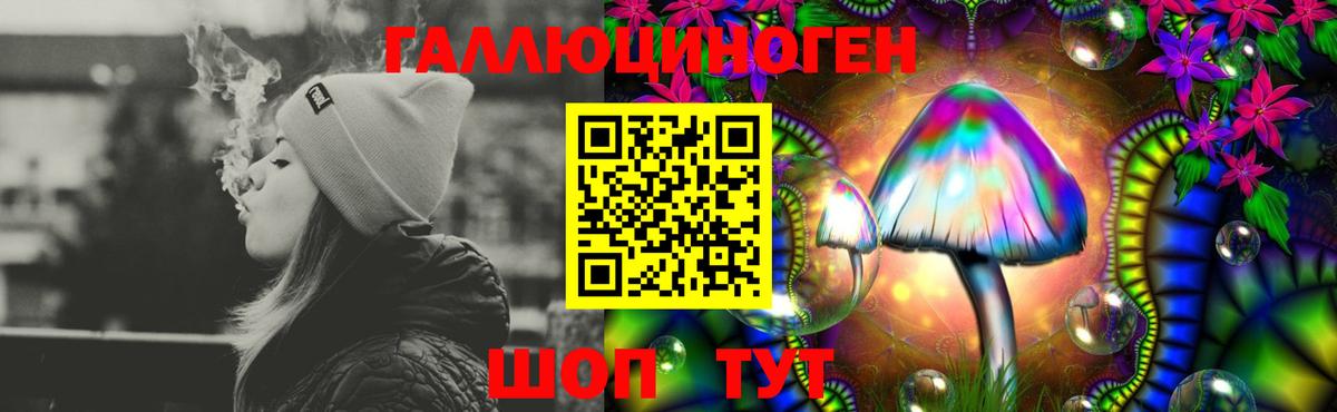Псилоцибиновые грибы мицелий Тула